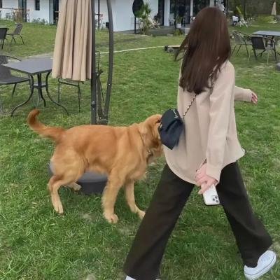 爱的奉献